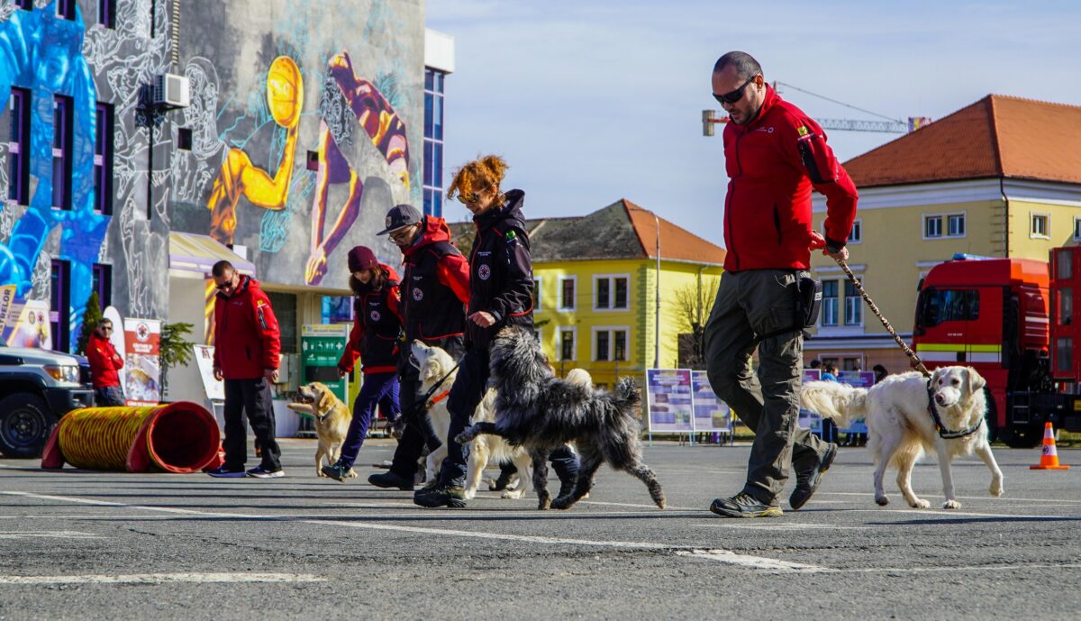 foto video - sibienii învățați cum să se comporte în caz de dezastre – demonstrații ”live” cu câini care îți pot salva viața