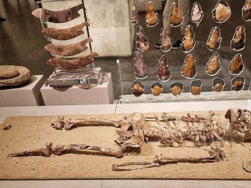 foto cum arăta un egiptean de acum 35.000 de ani - cercetătorii au reușit să-i reconstituie chipul cu ajutorul tehnologiei