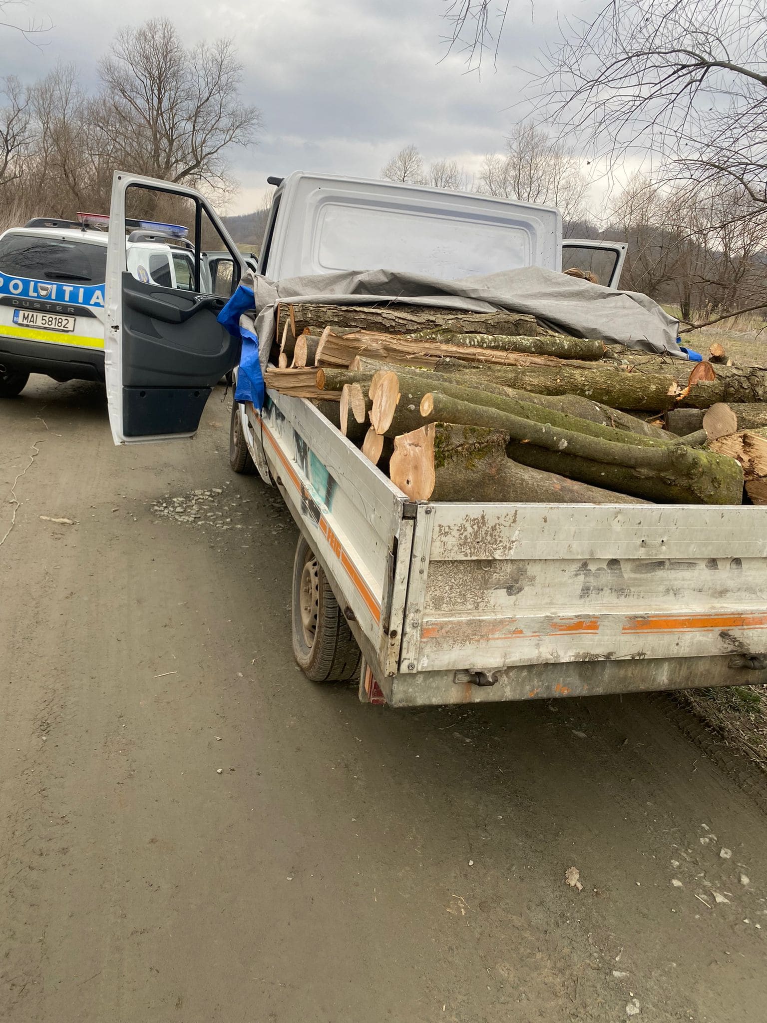 foto: transporturi ilegale de lemne în orlat și la hula bradului - doi sibieni amendați cu 10.000 lei