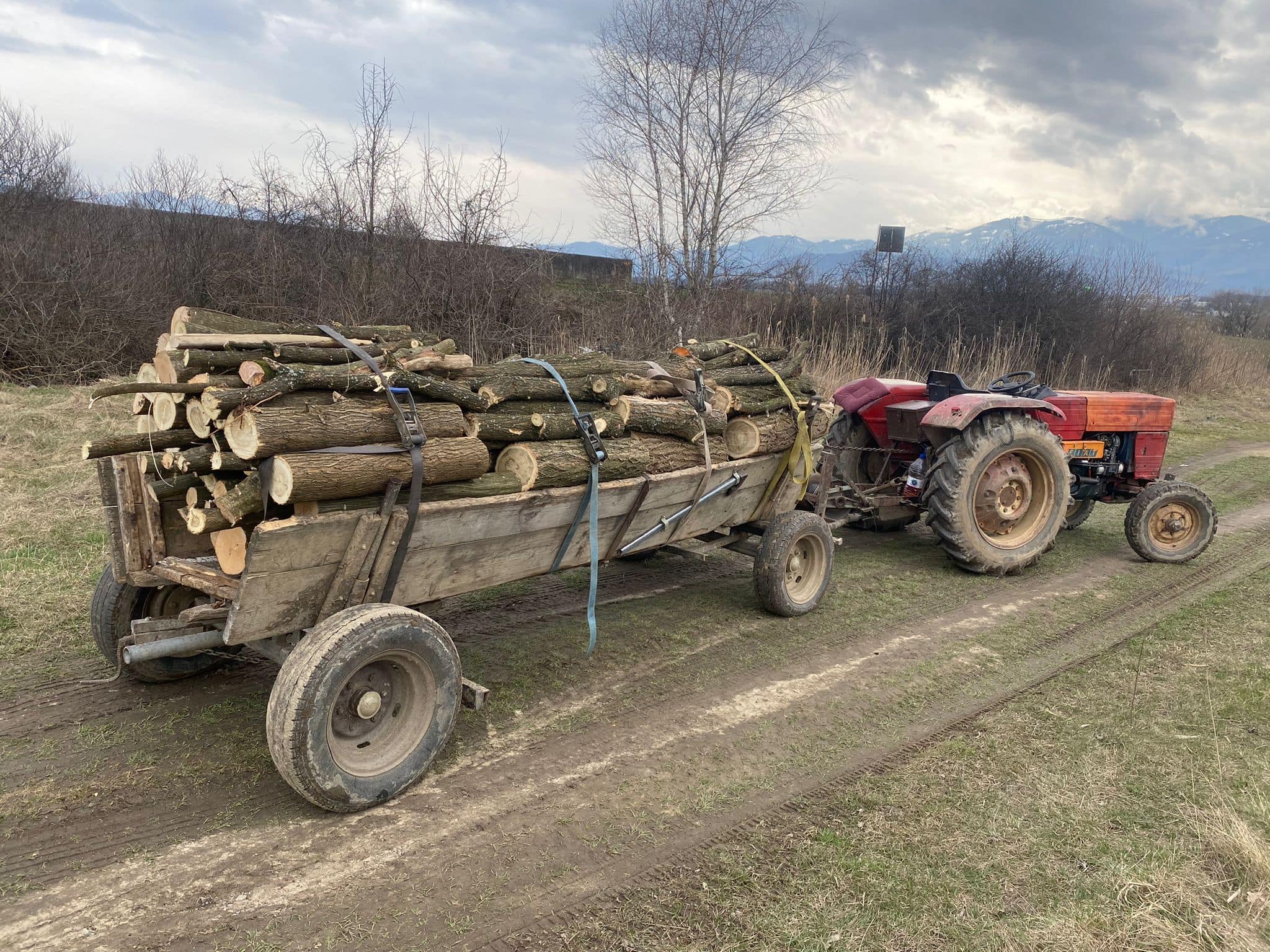 foto: transporturi ilegale de lemne în orlat și la hula bradului - doi sibieni amendați cu 10.000 lei
