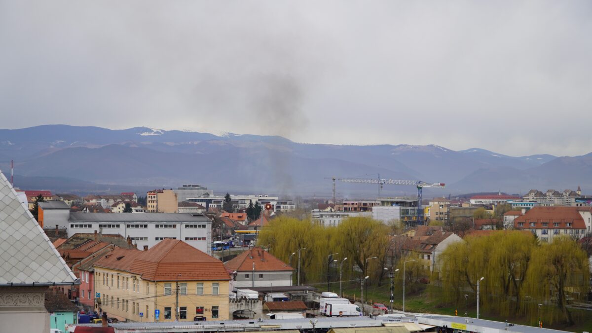 Incendiu puternic de vegetație în Turnișor - Fumul se vede din tot orașul