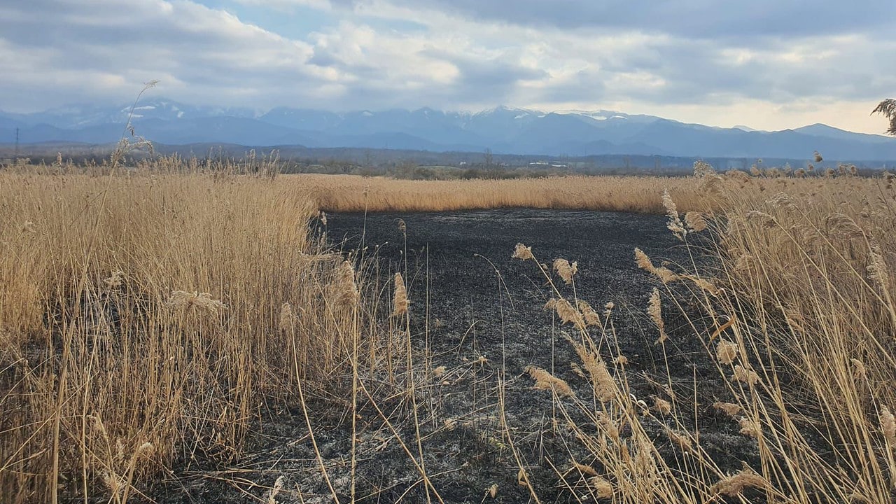 zeci de hectare de teren afectate de incendii de vegetație în martie - pompierii sibieni trag un semnal de alarmă