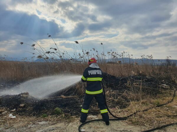 FOTO: Patru incendii de vegetație în Sibiu, Avrig și Șura Mică