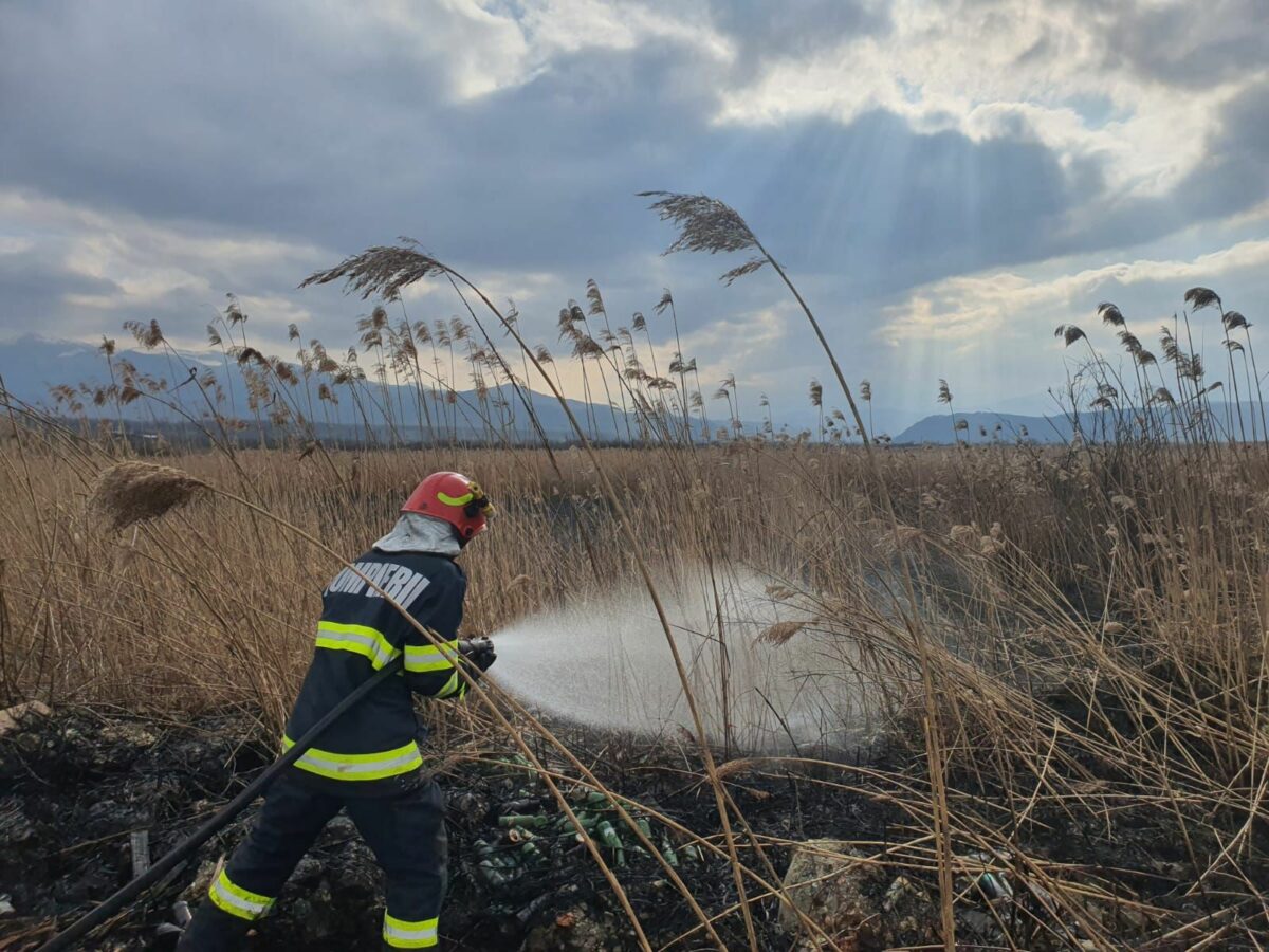 FOTO: Patru incendii de vegetație în Sibiu, Avrig și Șura Mică