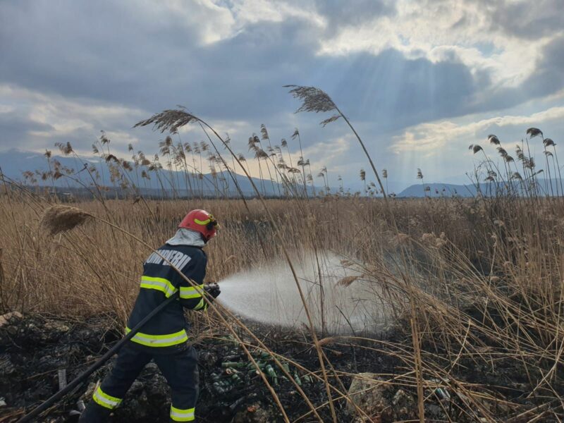 foto: patru incendii de vegetație în sibiu, avrig și șura mică