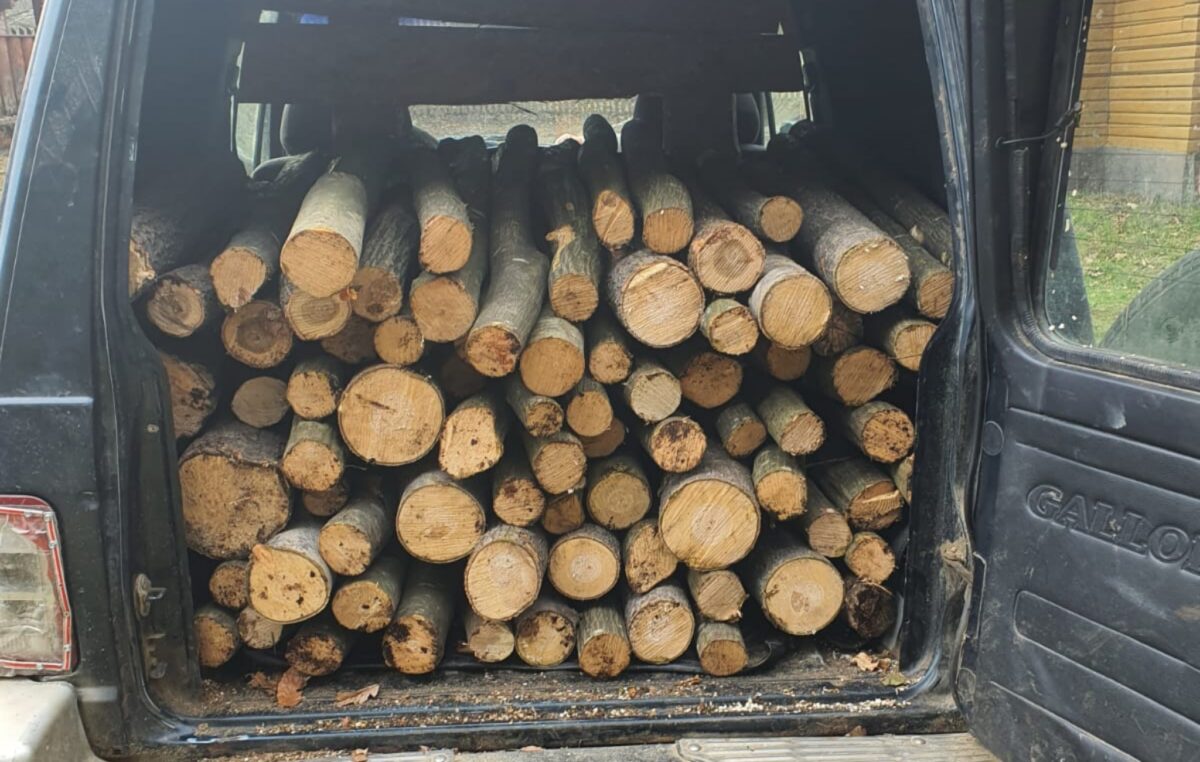 lemne tăiate ilegal în arpașu de sus – amendă de 2.000 lei și drujbe confiscate