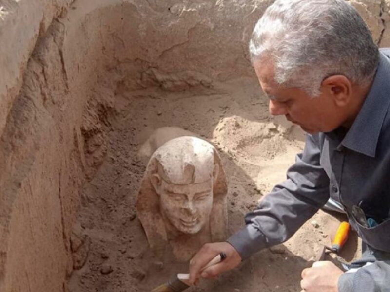 foto o nouă statuie în formă de sfinx a fost descoperită în egipt - săpăturile sunt încă în desfășurare