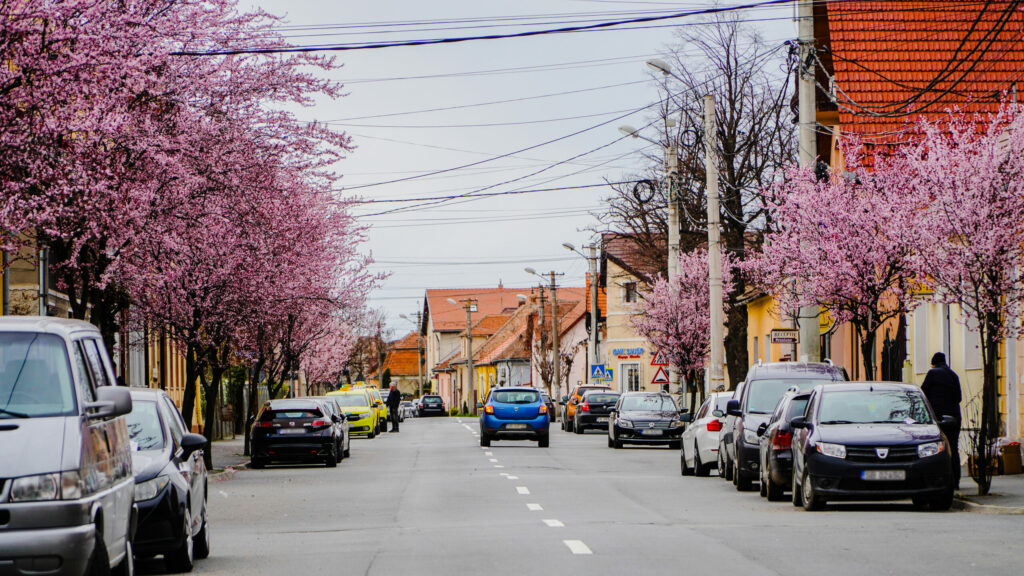 video - imagini superbe care îți taie răsuflarea - strada din sibiu care pare desprinsă din povești