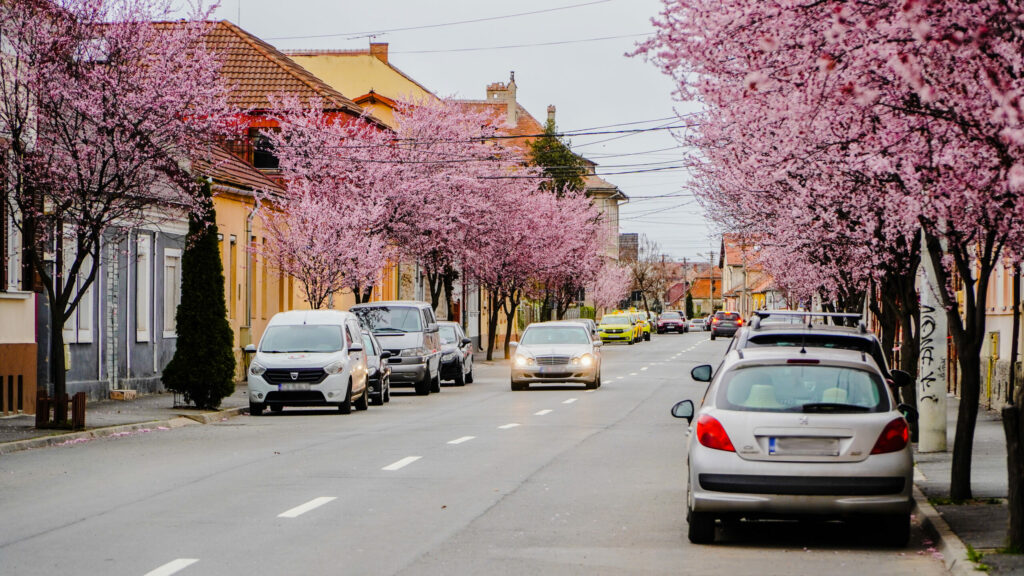 video - imagini superbe care îți taie răsuflarea - strada din sibiu care pare desprinsă din povești