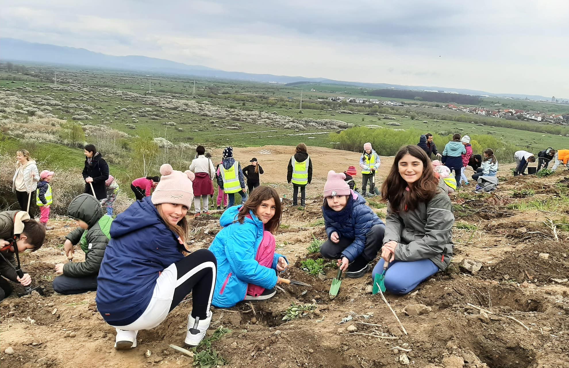 FOTO - Peste 500 de puieți plantați de voluntari pe versantul de lângă cel mai nou parc al Sibiului