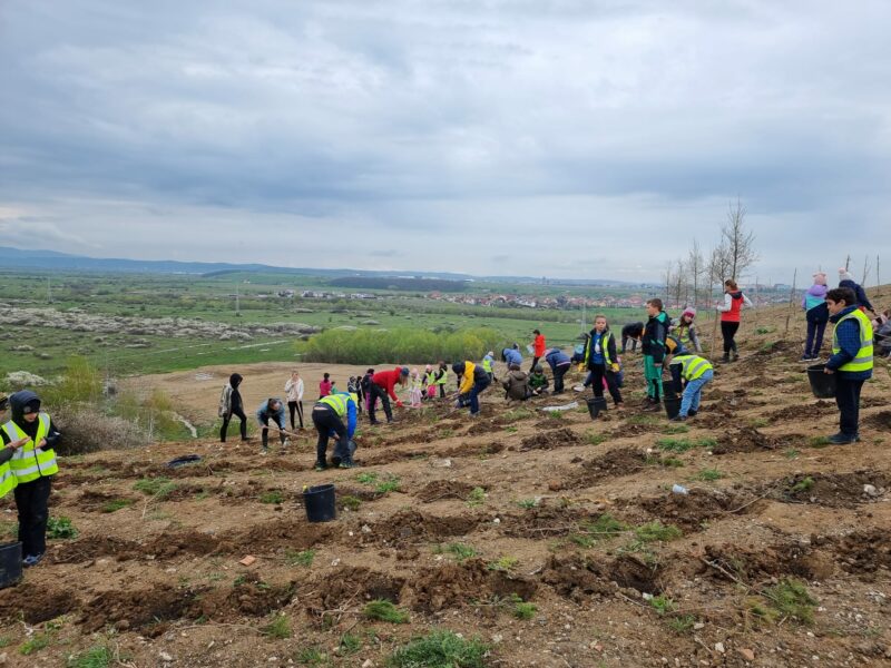 foto - peste 500 de puieți plantați de voluntari pe versantul de lângă cel mai nou parc al sibiului