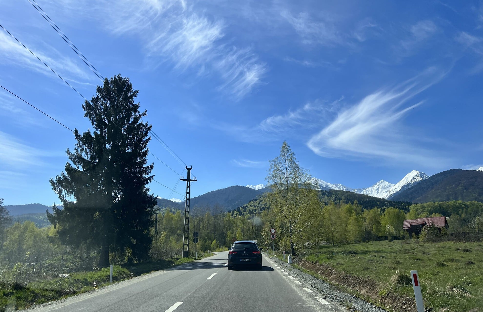 foto: drumeție la o aruncătură de băț de sibiu în munții făgăraș - au înflorit brândușele pe valea sâmbetei