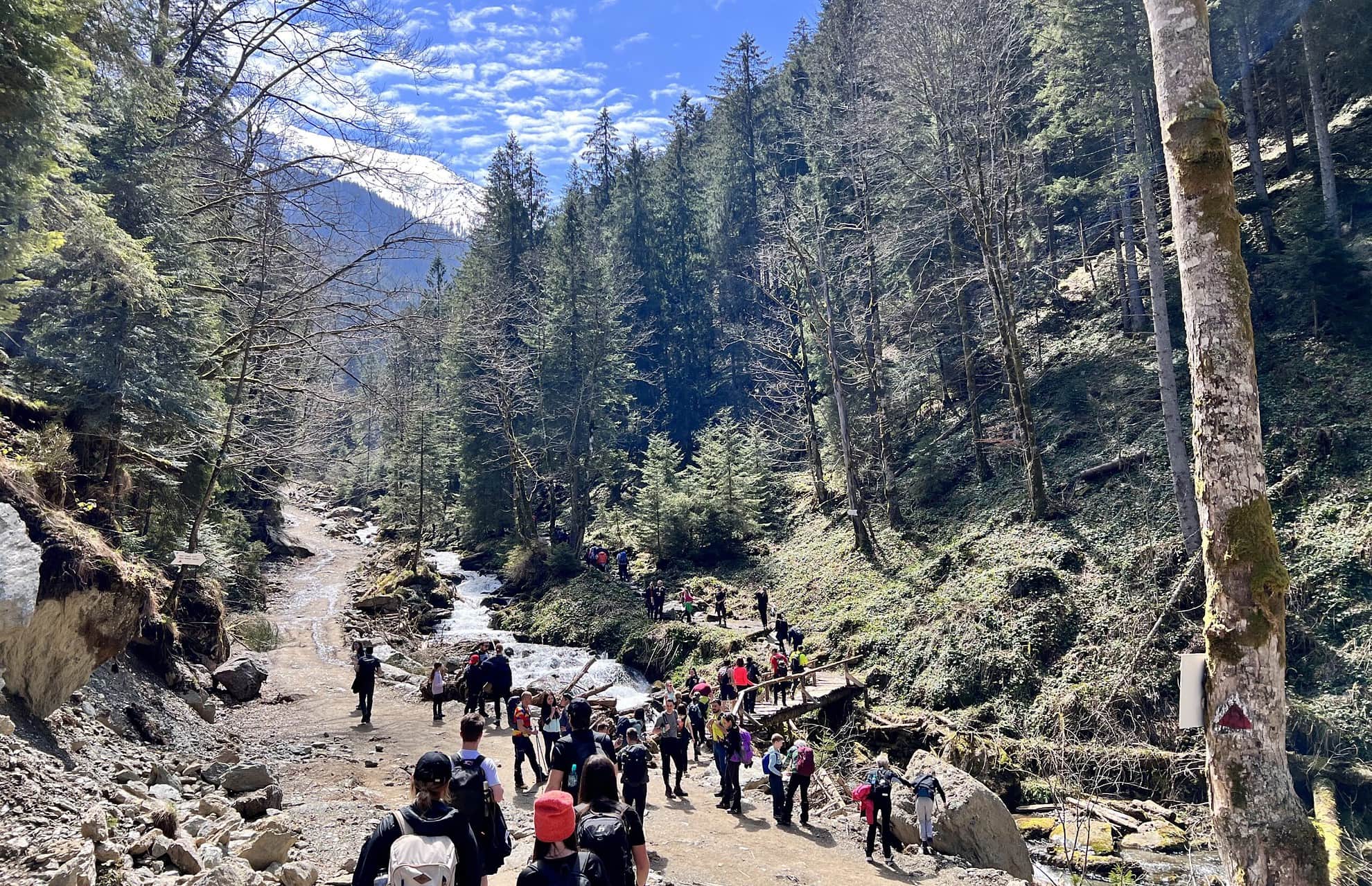 FOTO: Drumeție la o aruncătură de băț de Sibiu în Munții Făgăraș - Au înflorit brândușele pe Valea Sâmbetei