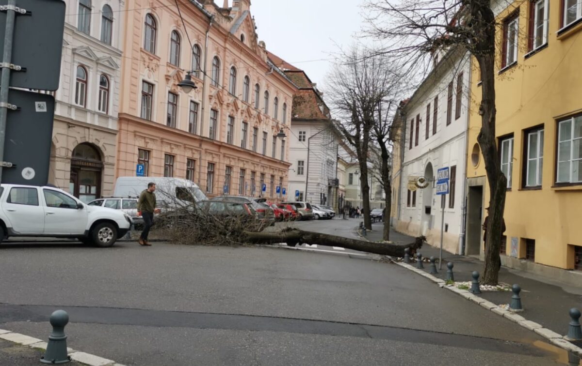 copac căzut în centrul sibiului - strada magheru, blocată