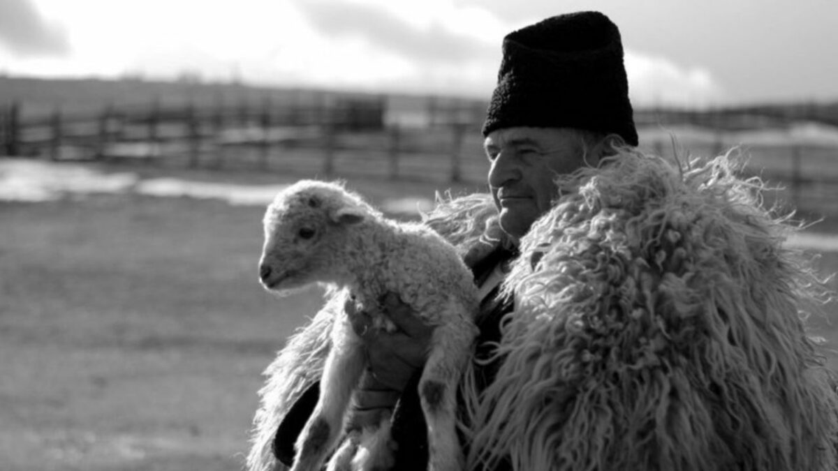povestea unei familii de ciobani din jina, subiect de film - pelicula ”aproape de rai”, difuzată în germania