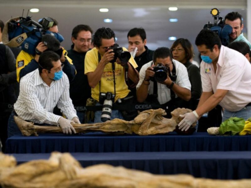 pericol pentru vizitatorii unui muzeu - au fost găsite semne de viață pe o mumie din expoziție