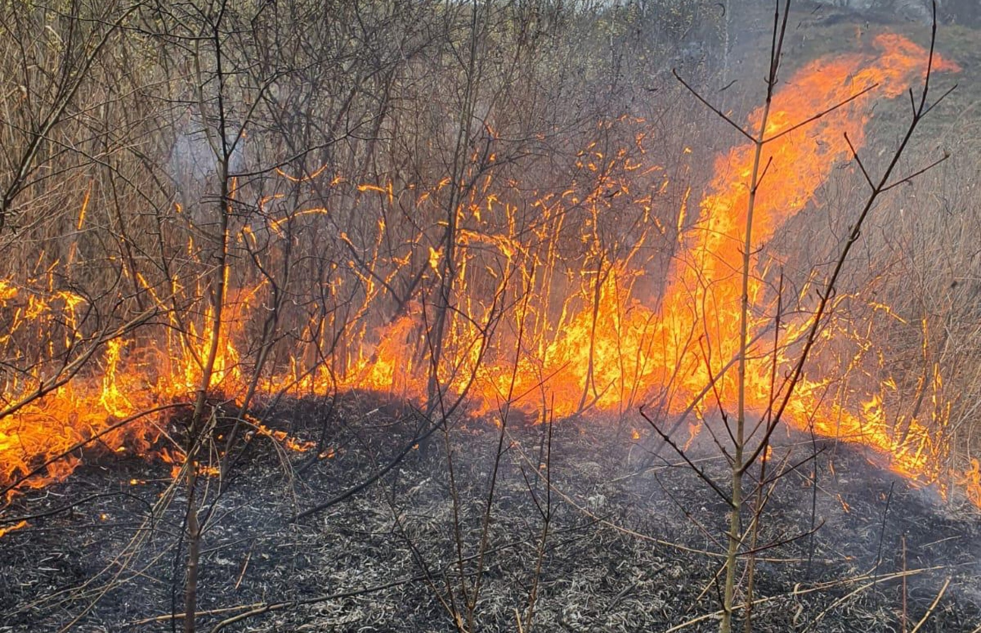 incendii de înviere la chirpăr, mohu și mediaș - pompierii au intervenit să le stingă