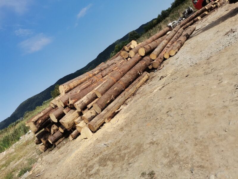 lemne confiscate și amenzi de 3.000 lei la gura râului și cristian