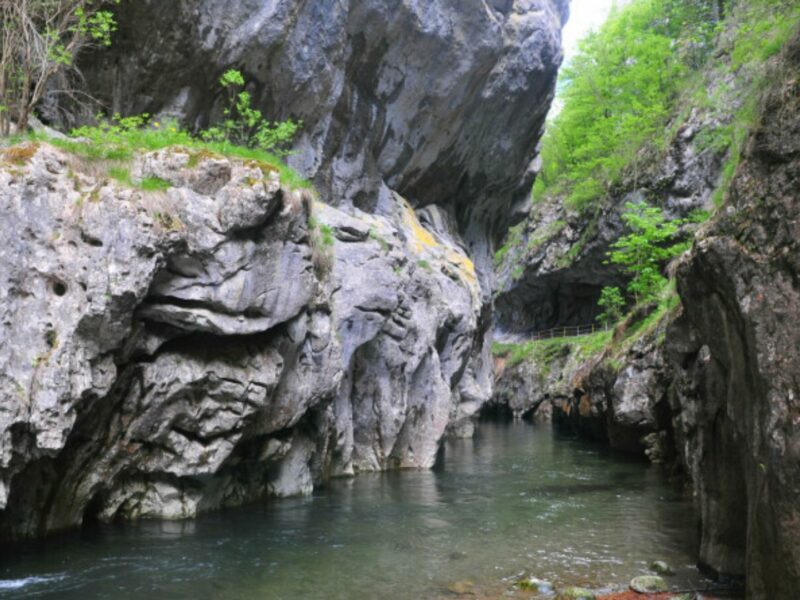 peștera lui adam, oaza exotică a româniei - ies vapori fierbinți de apă, indiferent de anotimp