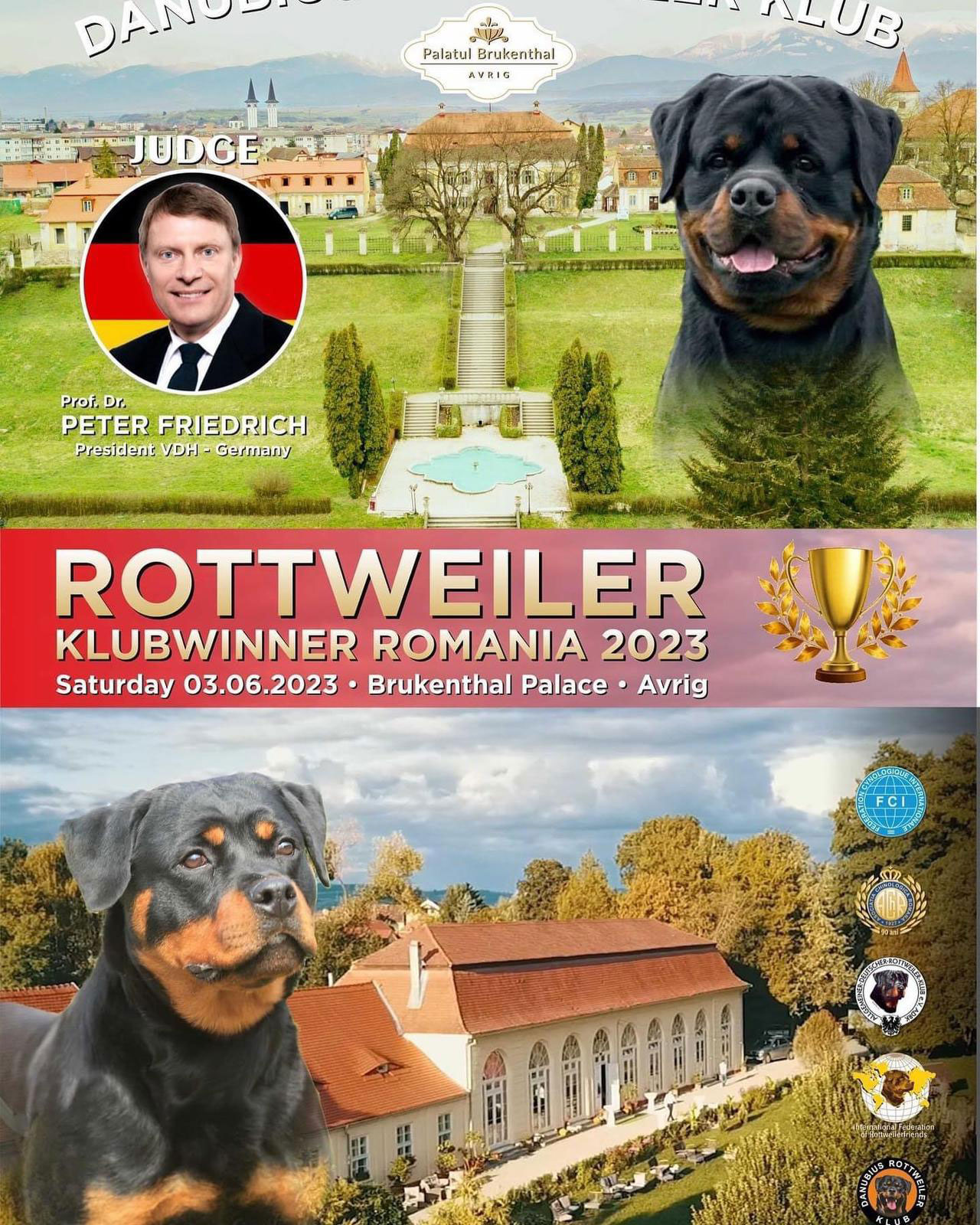 inedit concurs internațional de frumusețe pentru câini din rasa rottweiler, la palatul brukenthal avrig