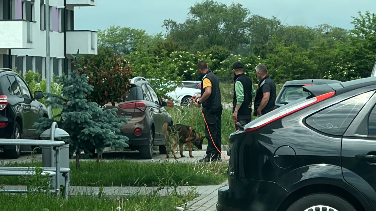 video: polițiști cu câini, antrenament pe străzile din sibiu