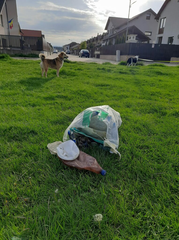 Provocare lansată de o tânără pentru locuitorii din cartierul Arhitecților - Plimbarea cu cățelul transformată în acțiune de ecologizare