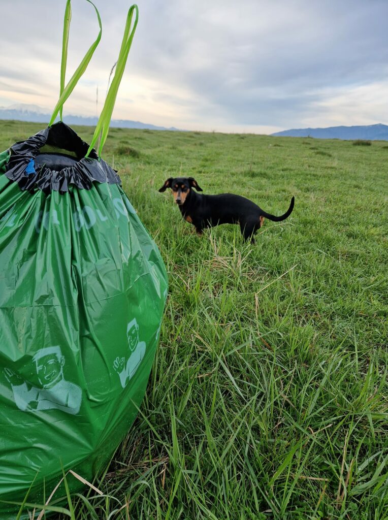 Provocare lansată de o tânără pentru locuitorii din cartierul Arhitecților - Plimbarea cu cățelul transformată în acțiune de ecologizare