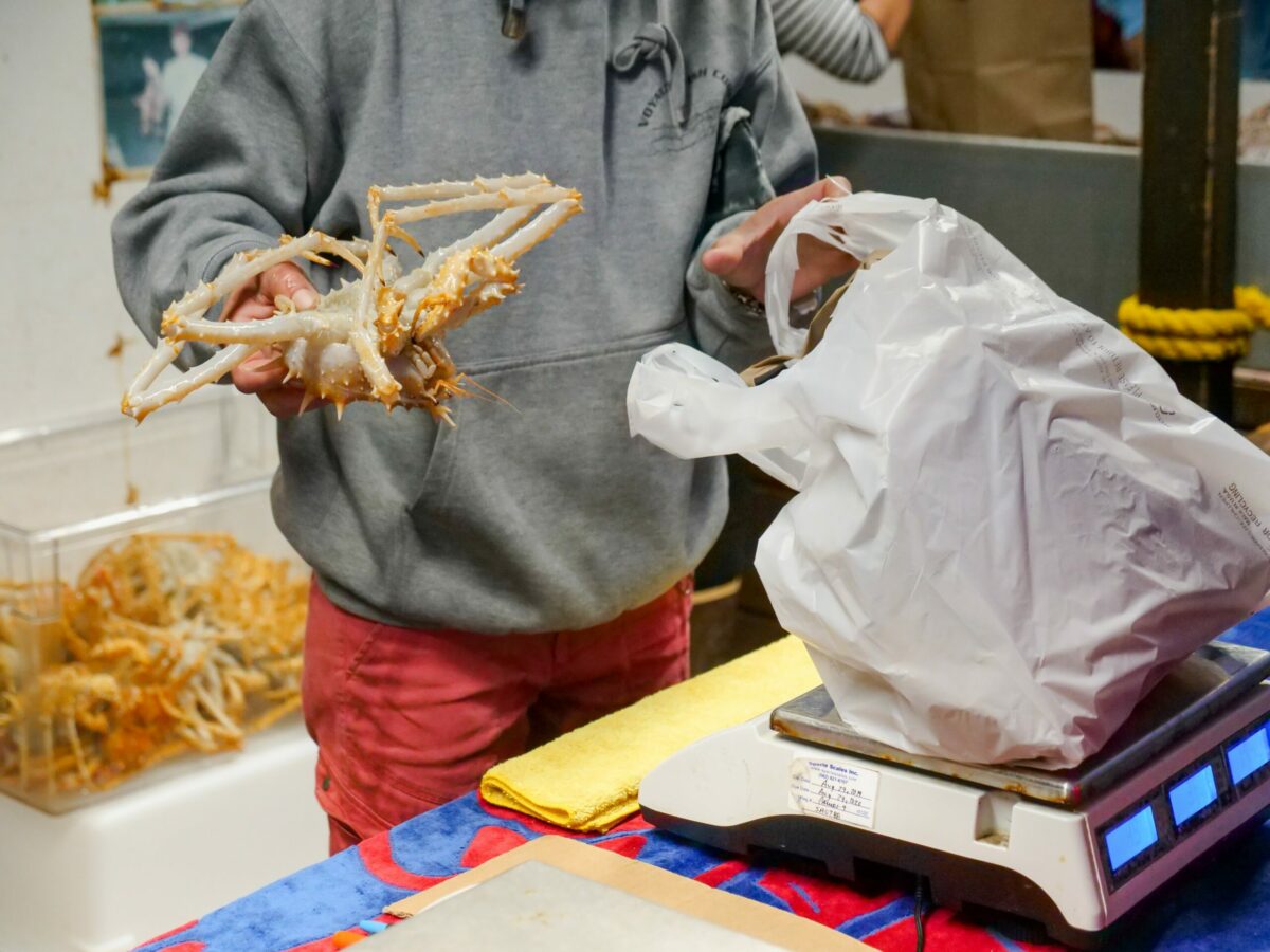 loc de muncă în domeniul creșterii crabilor, în norvegia - ziua plătită cu 700 lei