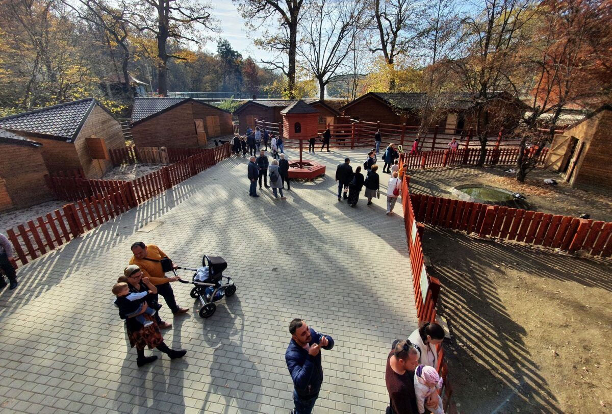 intrare gratuită la zoo sibiu pentru copii de 1 iunie - ferma animalelor are noi membri