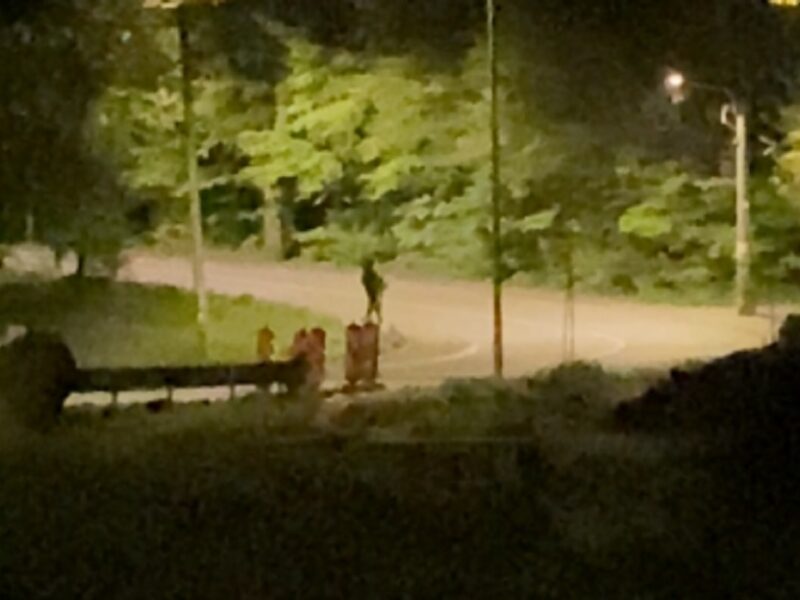 video furt în miez de noapte în valea aurie - bărbat filmat în timp ce sustrage pavele