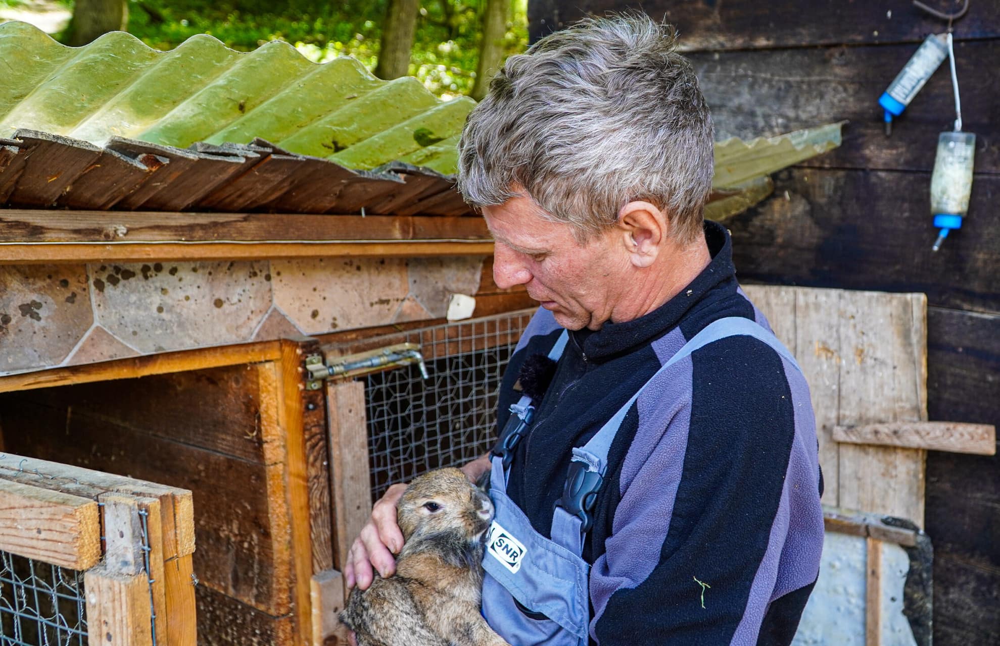 FOTO VIDEO Povestea omului care a pus pe picioare Ferma Animalelor – Nicolae este singurul locuitor din Muzeul în Aer Liber