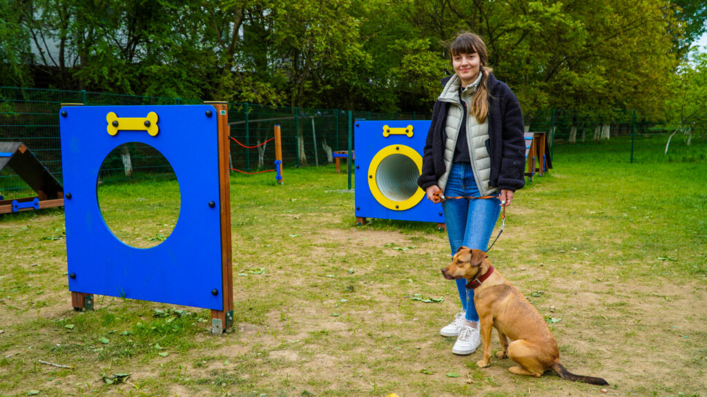reportaj - locurile de joacă pentru câini din sibiu, prea mici - „am așteptat din iarnă să se deschidă” 