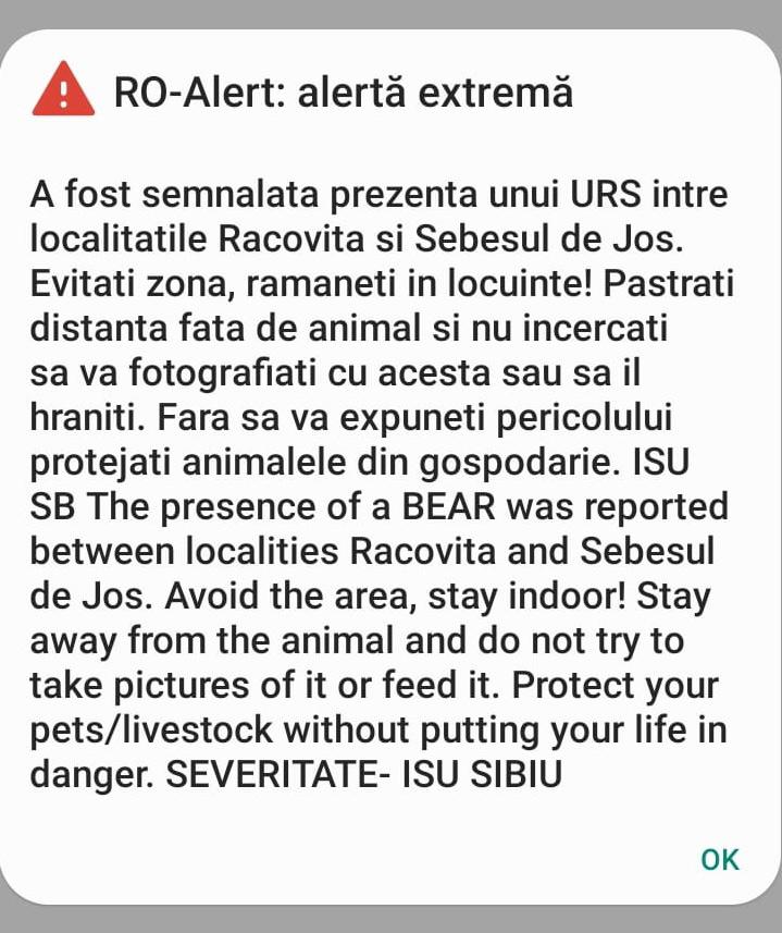 UPDATE - Ursoaică cu doi pui gonită din Racovița spre pădure - Autoritățile rămân în zonă