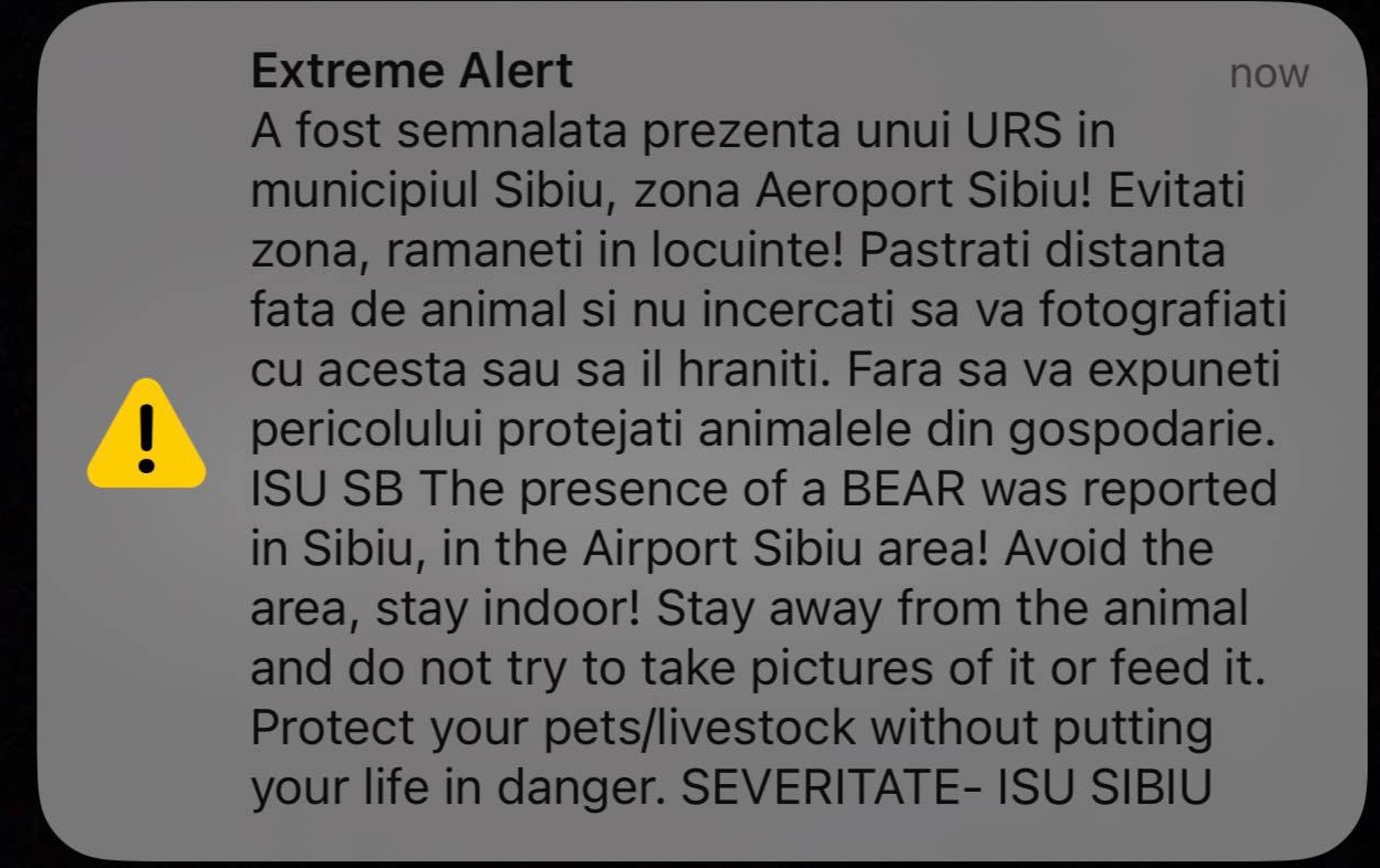 Urs în zona Aeroportului din Sibiu - Mesaj RO-Alert pe telefoanele sibienilor