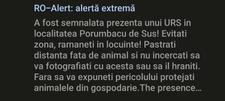 Alertă în Porumbacu de Sus - A fost semnalată prezența unui urs