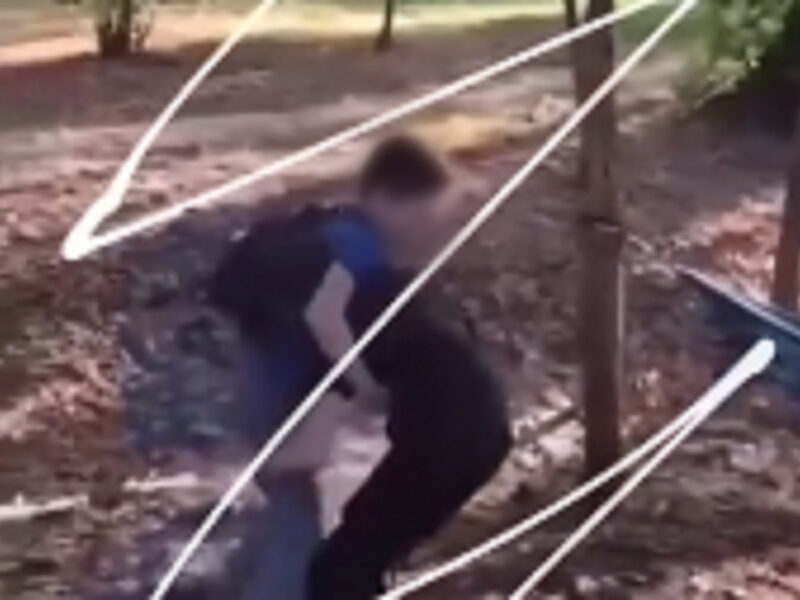 video alarmant la sibiu - copii surprinși în imagini în timp ce se bat în parcul sub arini - o pagină de instagram încurajează violența fizică