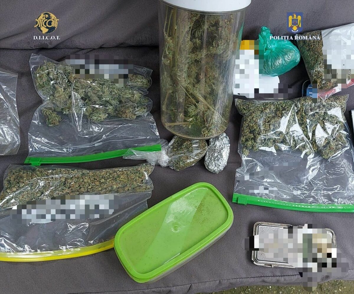 traficanții care vindeau cannabis și cocaină în sibiu, arestați preventiv