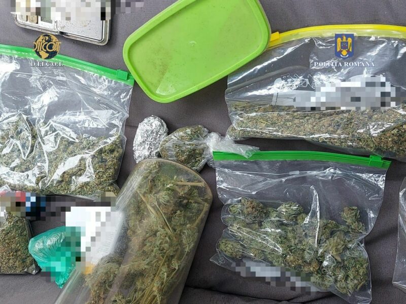 poliția cu ochii pe traficanții de droguri. aproape 30 de kilograme de canabis, confiscate în ultimele două săptămâni