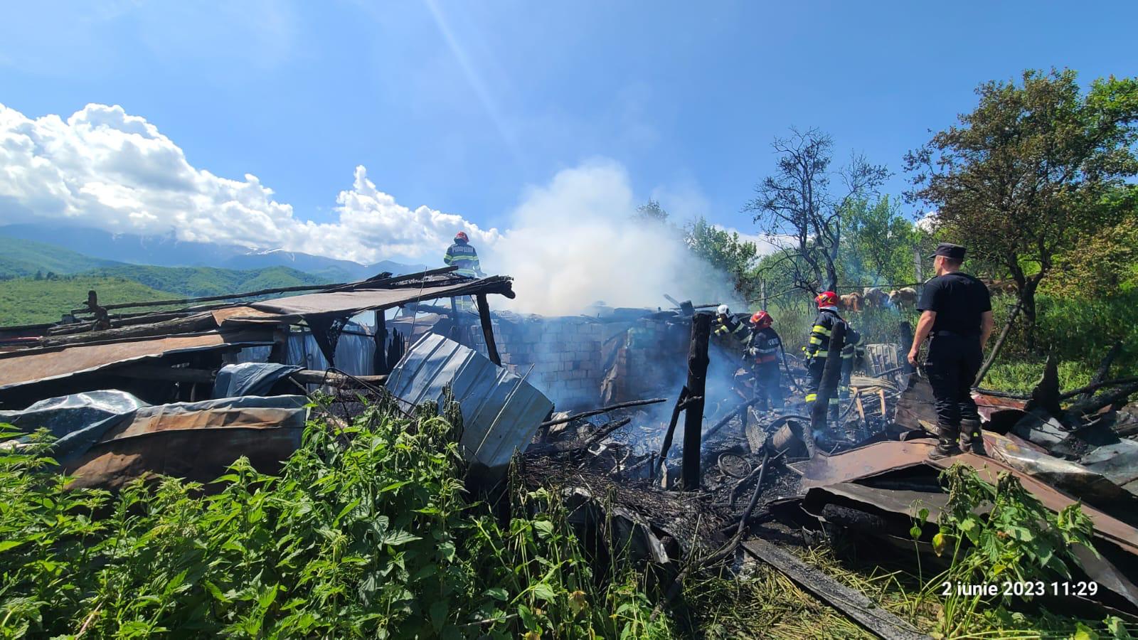 foto: adăpost de animale din sebeșu de sus, în flăcări - șapte porci au fost salvați