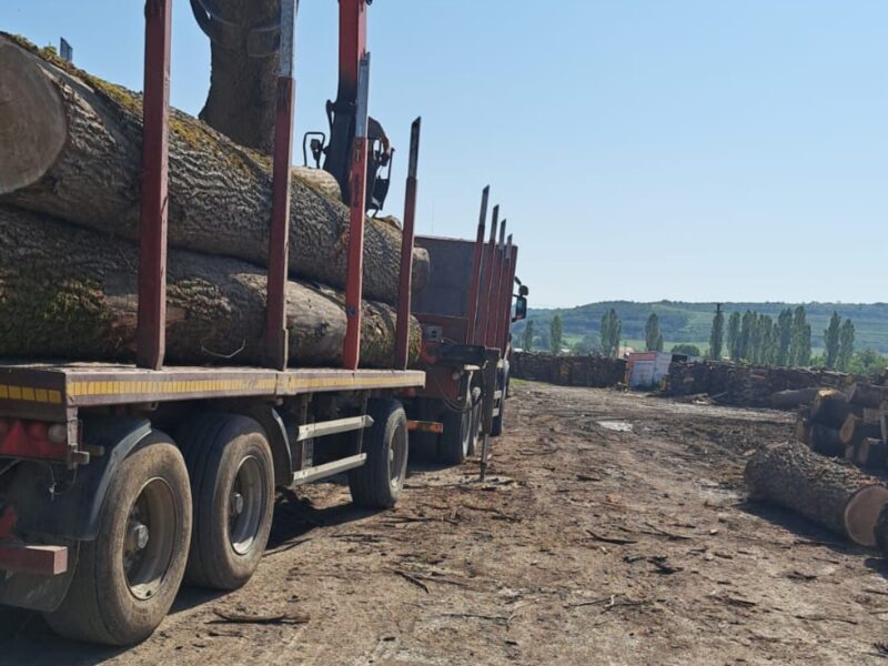 controale la șura mare - firmă amendată cu 6.000 lei pentru un transport ilegal de lemne 