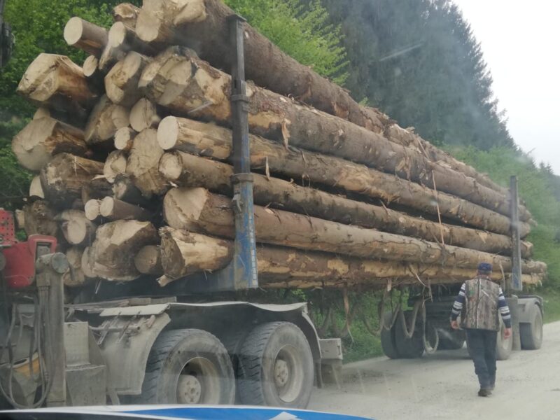 transporturi ilegale de lemne în sibiu - polițiștii au dat amenzi de 55.000 lei pe valea frumoasei