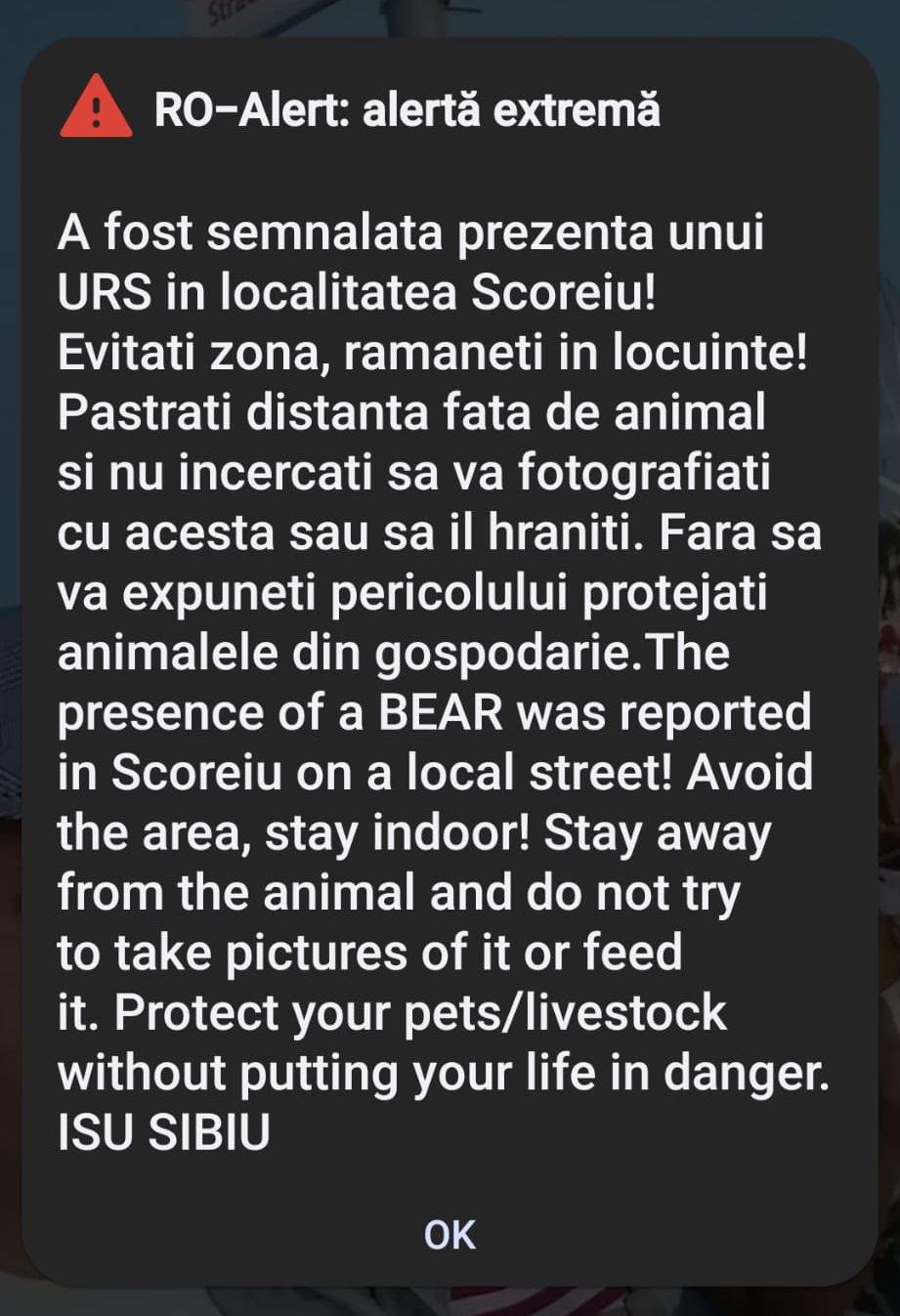 urși văzuți în scoreiu și în porumbacu de sus - mesaje ro-alert pe telefoanele sibienilor