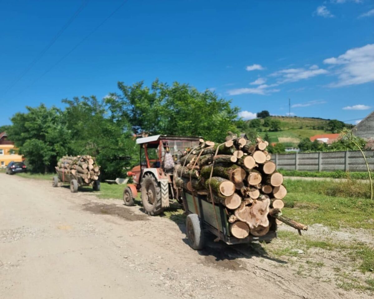 Sibieni prinși cu lemne furate la Vurpăr - Au fost amendați cu 1.000 de lei fiecare