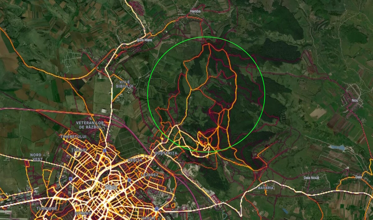 trasee tematice, pedestre și pentru bicicletă, în pădurea gușteriței