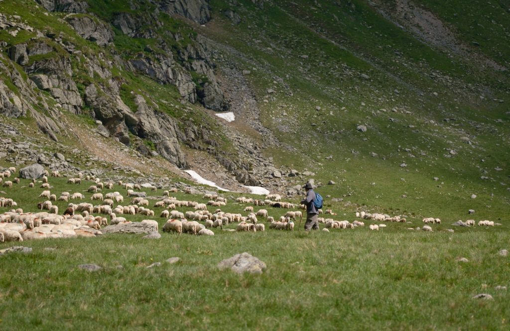 sibianul care ghidează turiști pe o potecă unică pe crestele făgărașilor