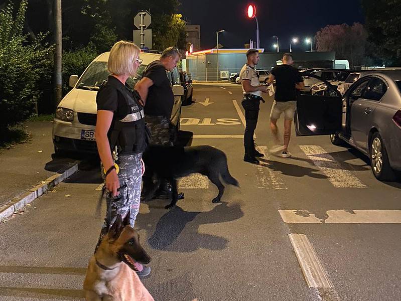 droguri aruncate pe geamul unei mașini în șelimbăr, găsite cu ajutorul câinilor polițiști
