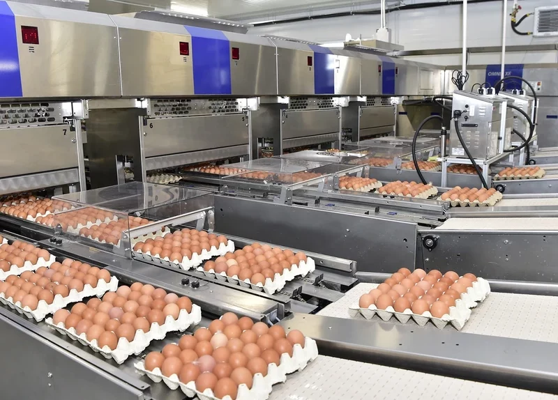 investiție de peste un milion de euro într-o unitate de ambalare ouă la cristian lângă sibiu