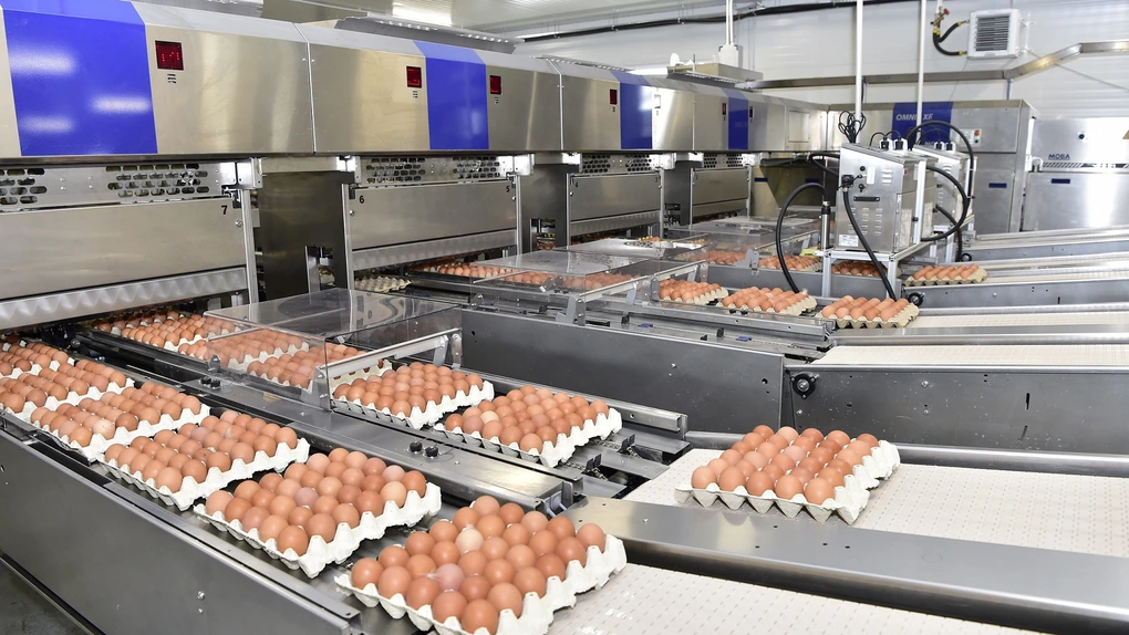 investiție de peste un milion de euro într-o unitate de ambalare ouă la cristian lângă sibiu