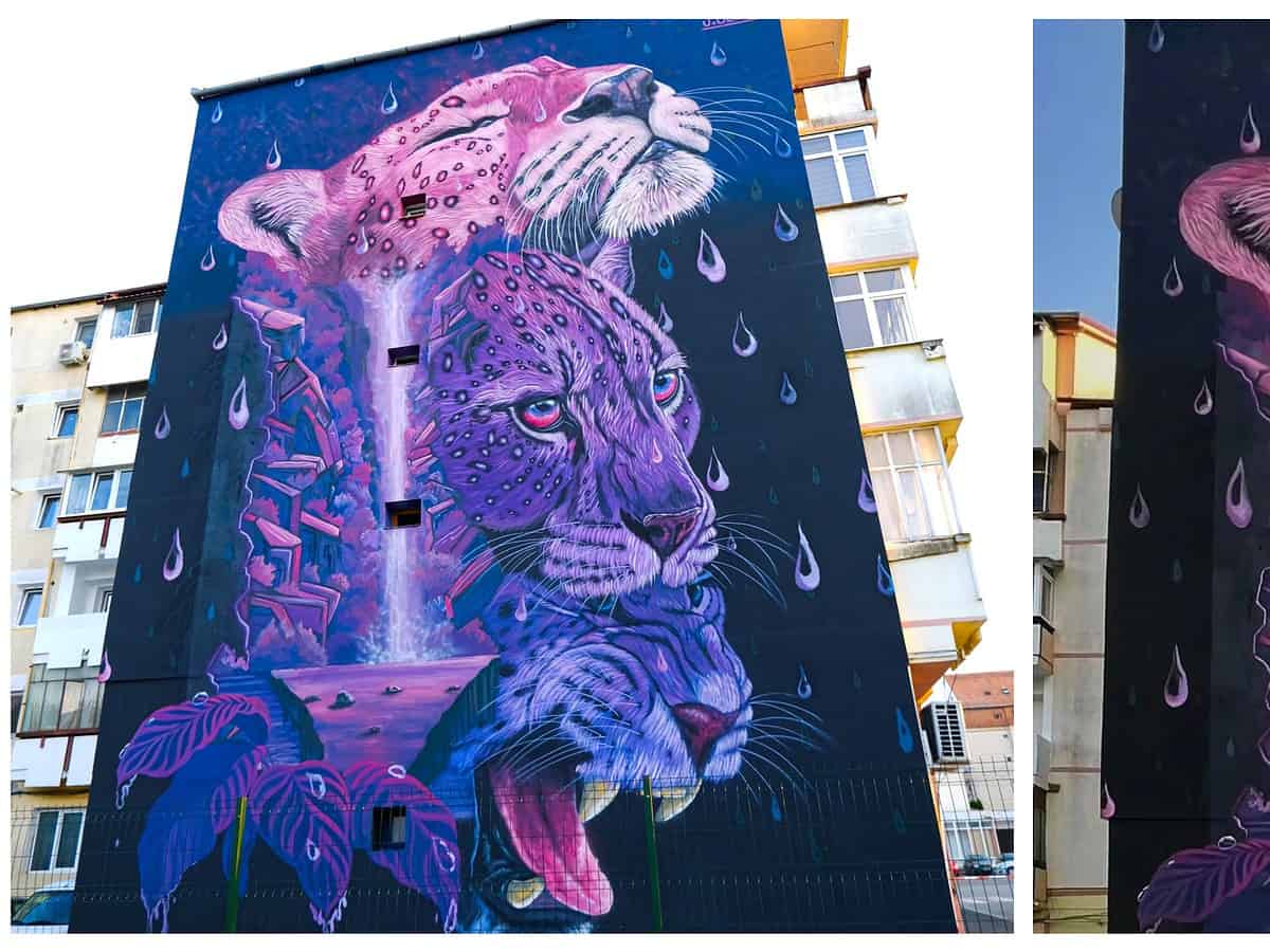 premieră la sibiu. pictura murală de pe fațada unui bloc din valea aurie, printre cele mai apreciate din lume