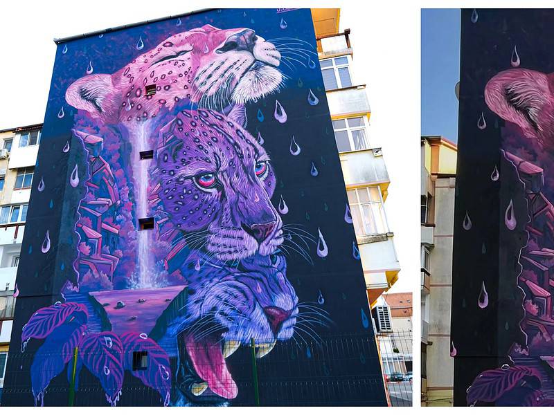 premieră la sibiu. pictura murală de pe fațada unui bloc din valea aurie, printre cele mai apreciate din lume